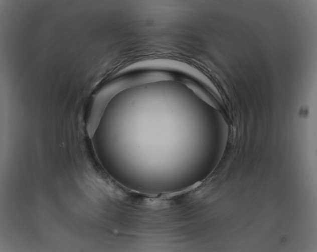 X0000093250520200710031606