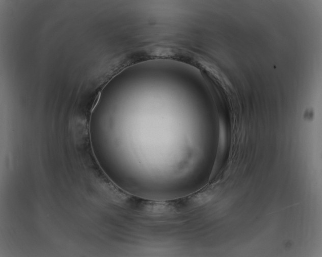 X0000093250521200710031606