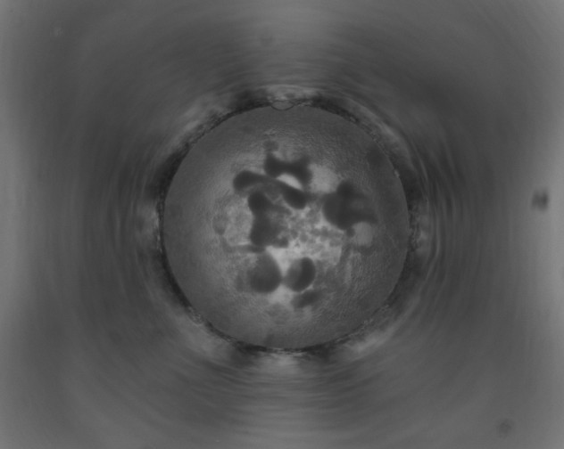 X0000093250523200710031606