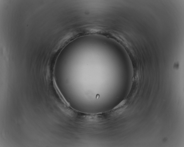 X0000093250524200710031606