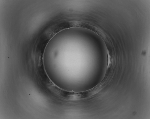 X0000093250525200710031606