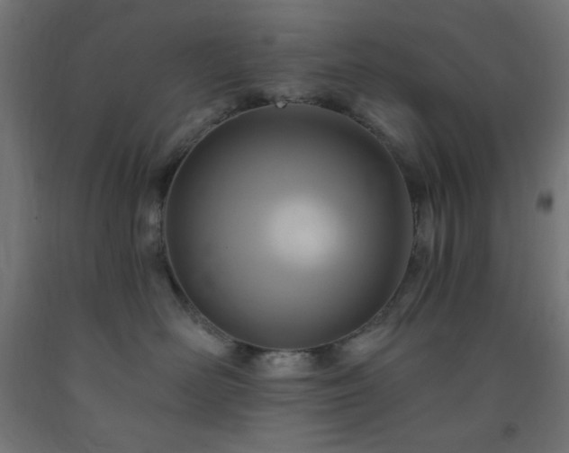 X0000093250526200710031606