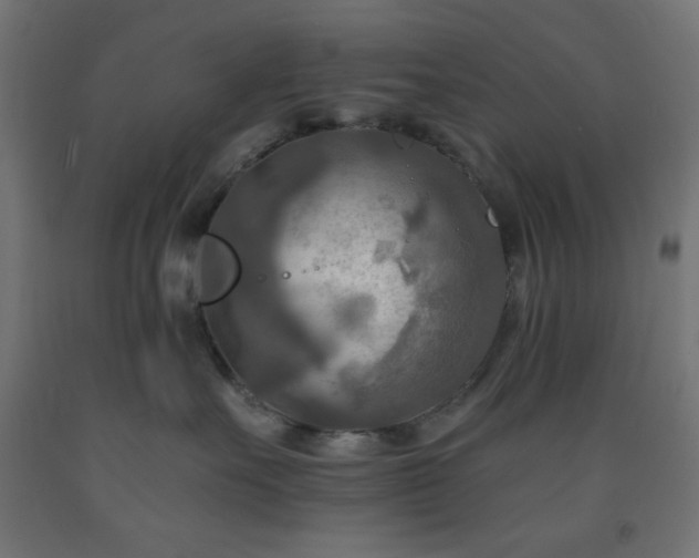 X0000093250527200710031606