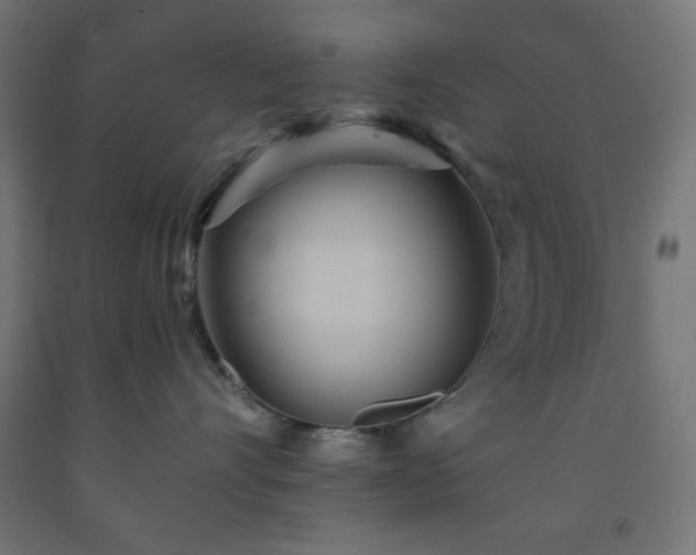 X0000093250528200710031606