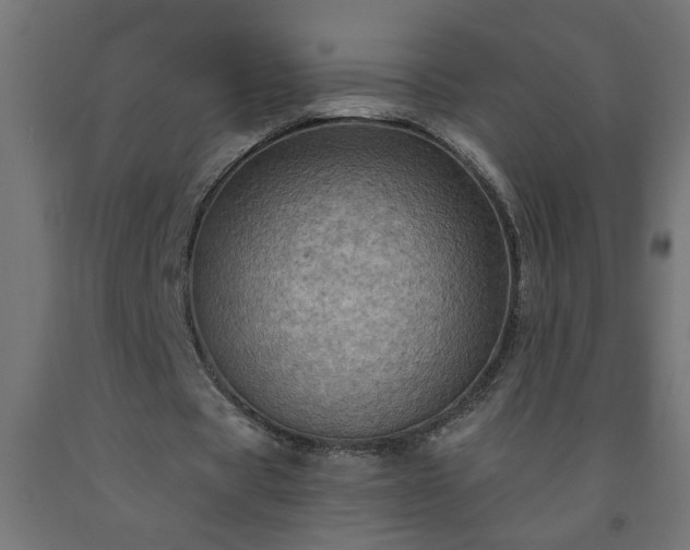 X0000093250529200710031606