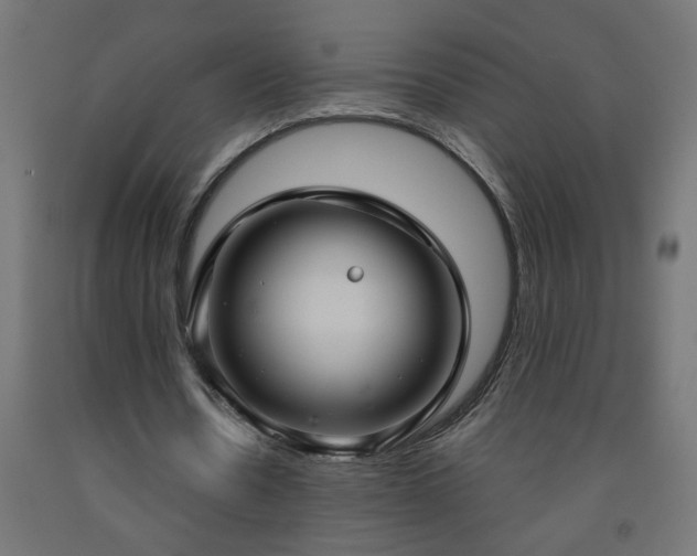 X0000093250530200710031606