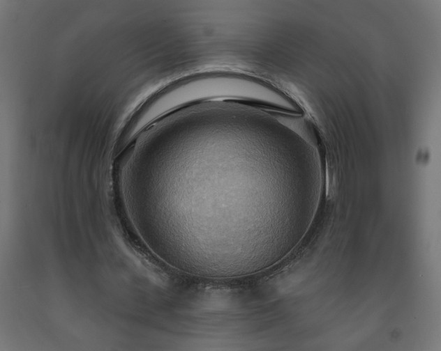 X0000093250531200710031606