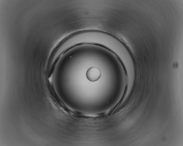 X0000093250532200710031606