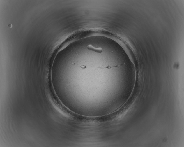 X0000093250533200710031606