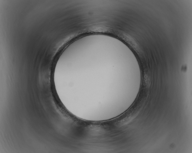 X0000093250534200710031606