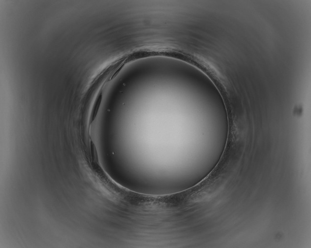 X0000093250535200710031606