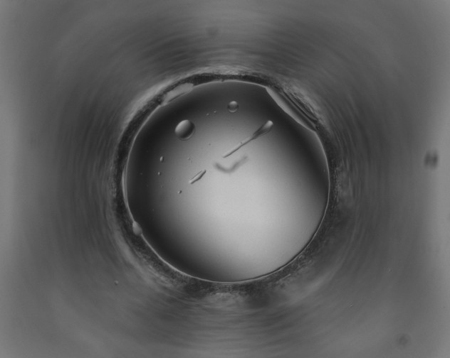 X0000093250536200710031606