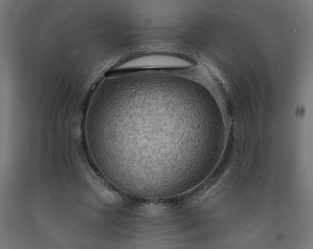 X0000093250537200710031606