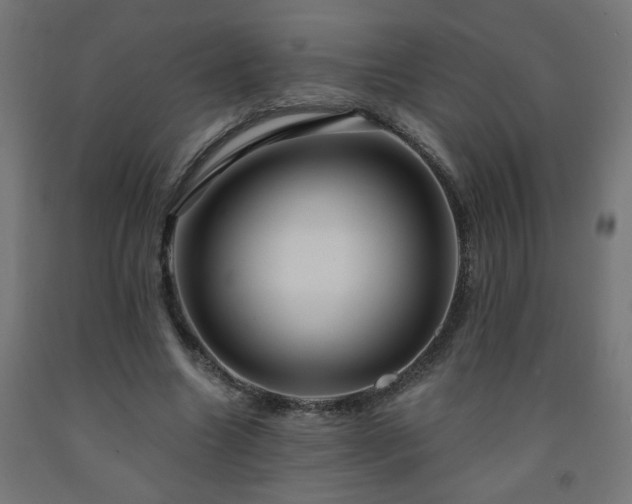 X0000093250538200710031606