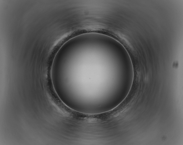 X0000093250539200710031606