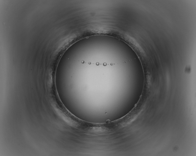 X0000093250541200710031606