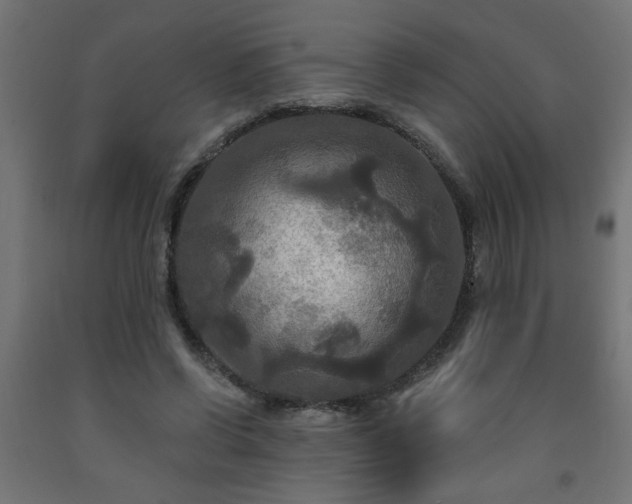 X0000093250542200710031606