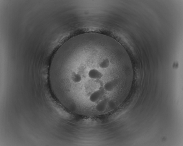 X0000093250545200710031606