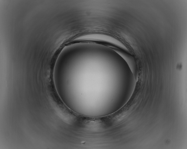 X0000093250548200710031606