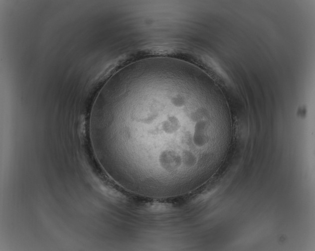 X0000093250549200710031606