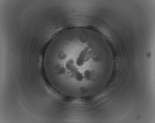 X0000093250550200710031606