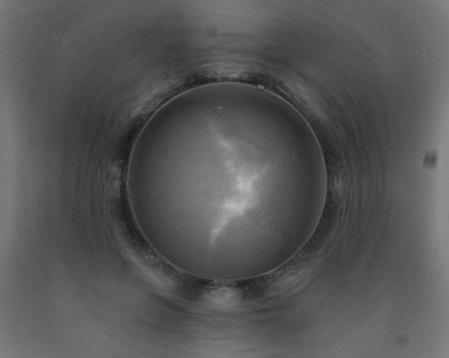 X0000093250551200710031606