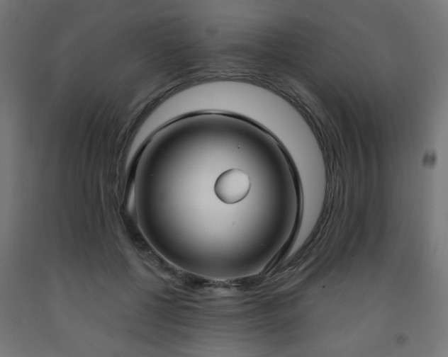 X0000093250552200710031606