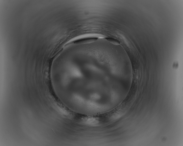 X0000093250553200710031606