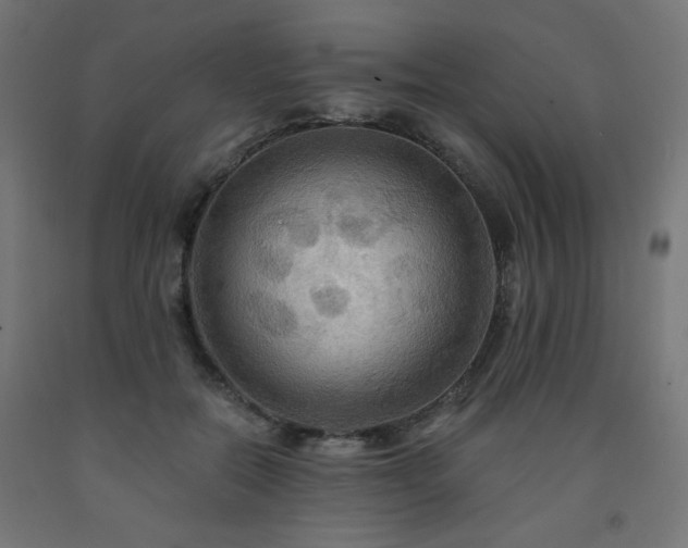 X0000093250554200710031606