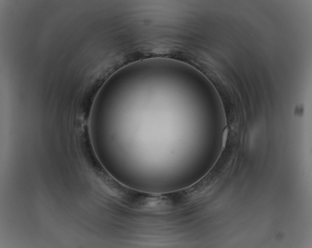 X0000093250555200710031606