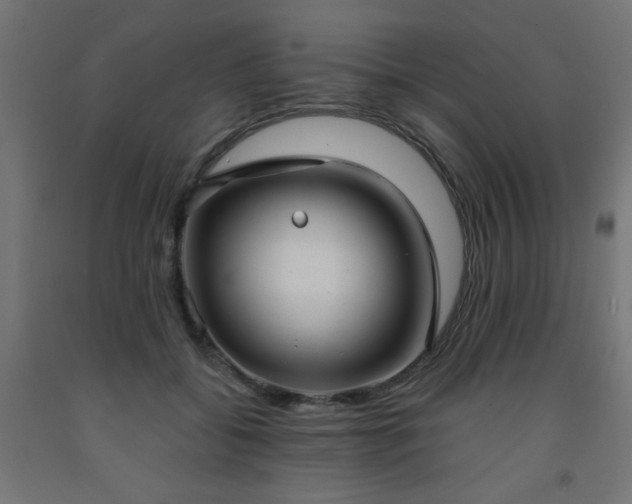 X0000093250556200710031606