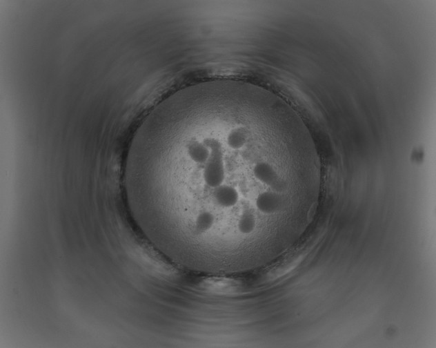 X0000093250557200710031606