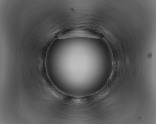 X0000093250558200710031606