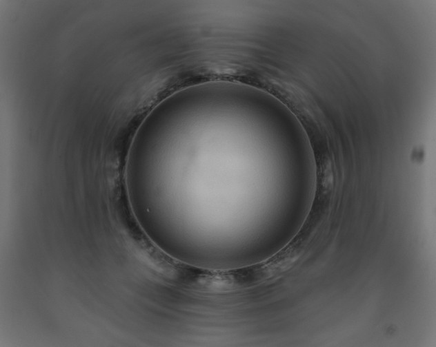 X0000093250559200710031606