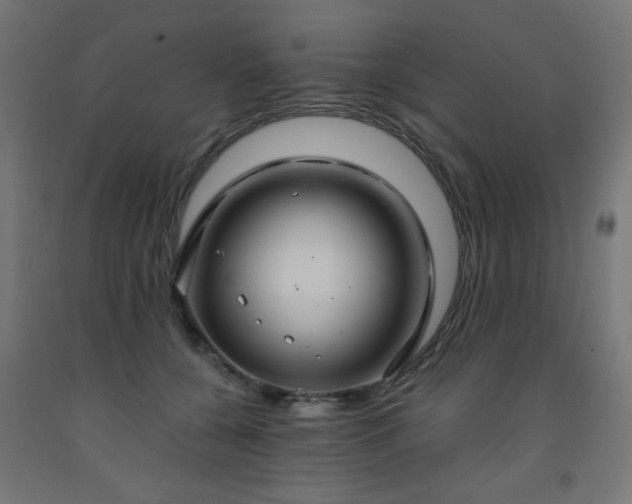 X0000093250560200710031606