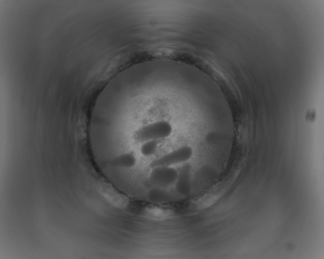 X0000093250561200710031606