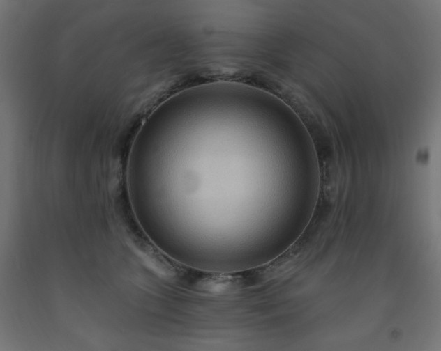 X0000093250563200710031606