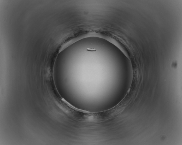 X0000093250564200710031606