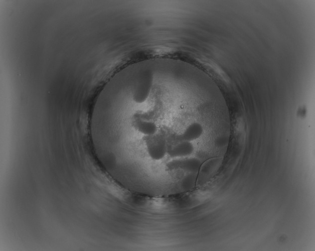 X0000093250565200710031606