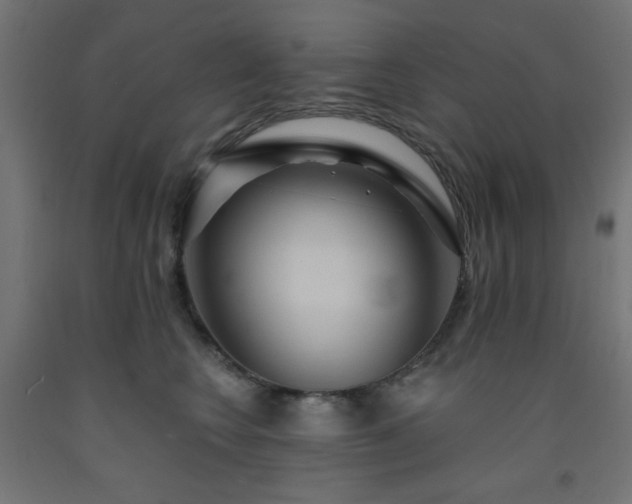 X0000093250566200710031606