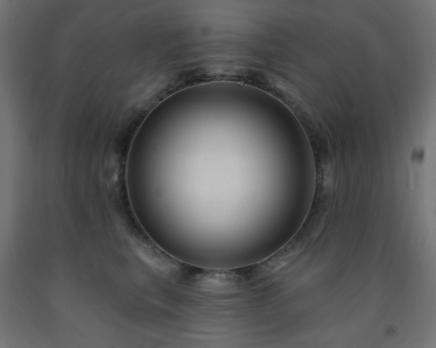 X0000093250567200710031606