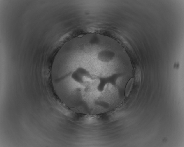 X0000093250569200710031606