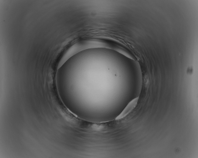 X0000093250570200710031606