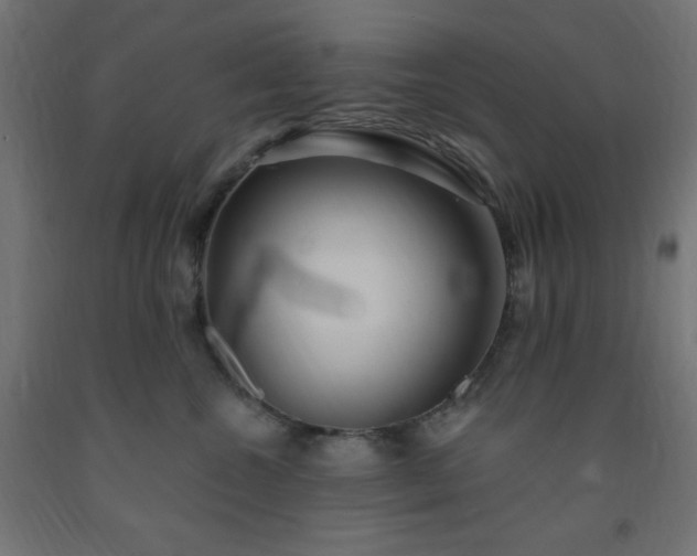 X0000093250572200710031606