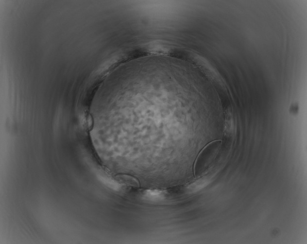 X0000093250573200710031606