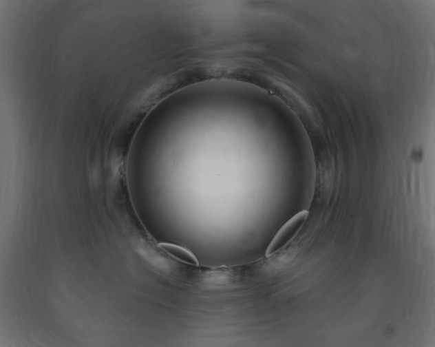 X0000093250574200710031606