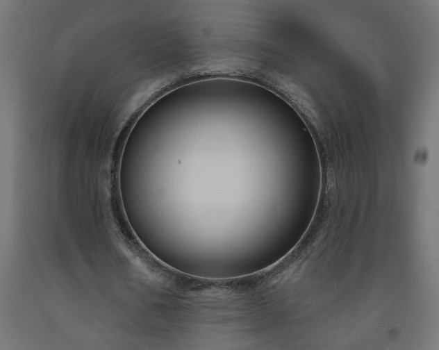 X0000093250578200710031606