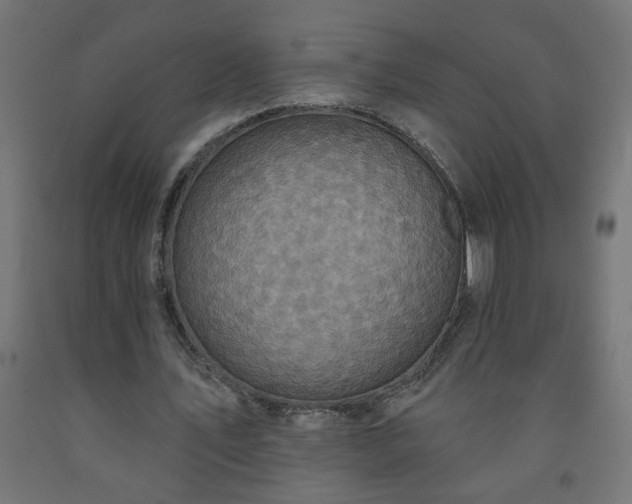 X0000093250579200710031606