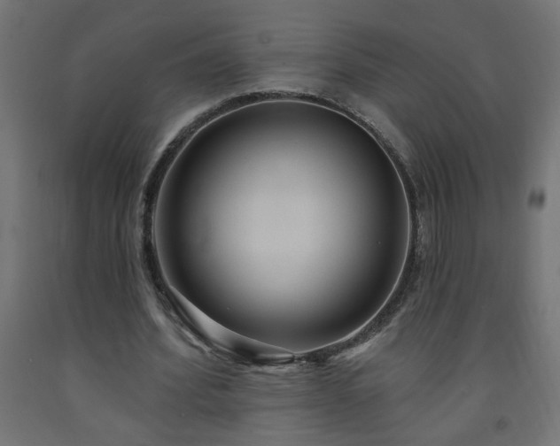 X0000093250580200710031606