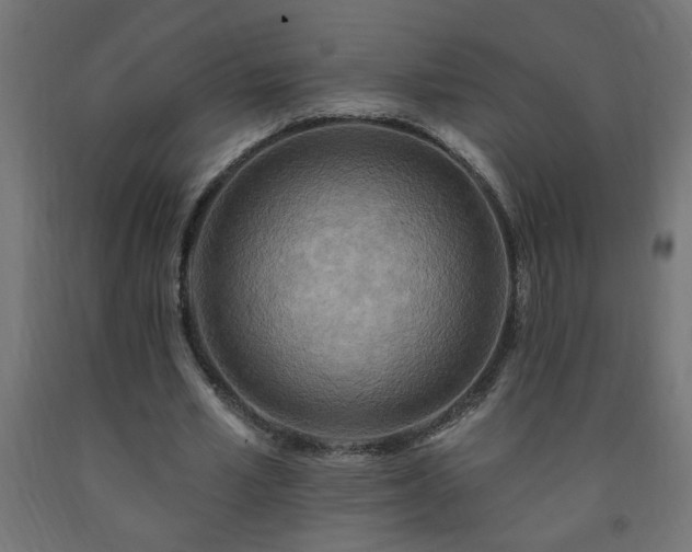 X0000093250581200710031606